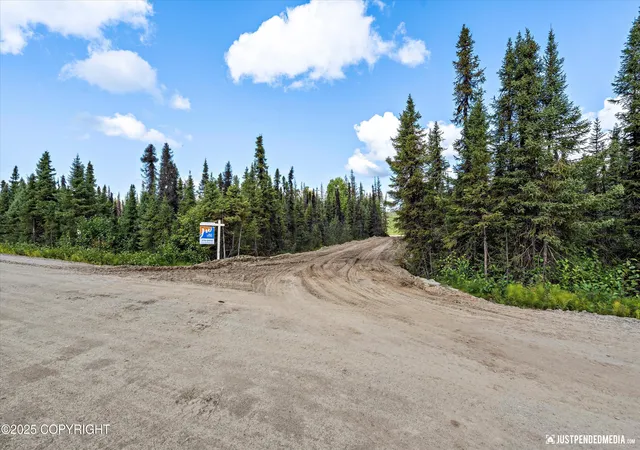 Photo 3 of Land for sale at 12431 W Snowberry Rd, Willow, AK 99688 | MLS# 26-1663 | Listing updated on 2026-03-10