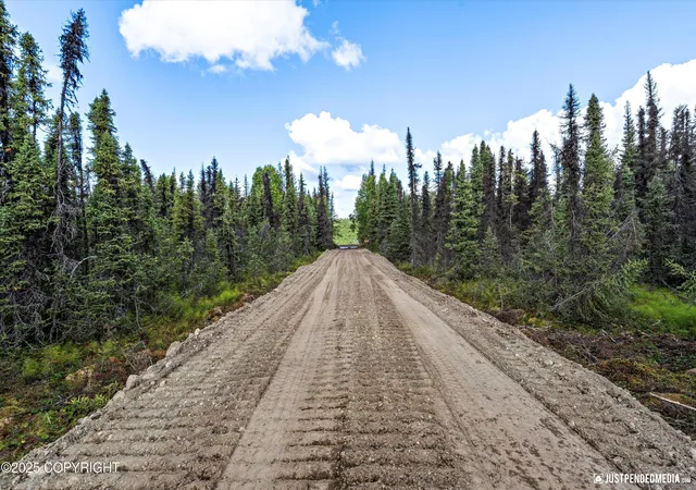 Photo 4 of Land for sale at 12431 W Snowberry Rd, Willow, AK 99688 | MLS# 26-1663 | Listing updated on 2026-03-10