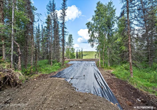 Photo 5 of Land for sale at 12431 W Snowberry Rd, Willow, AK 99688 | MLS# 26-1663 | Listing updated on 2026-03-10