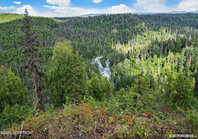 Photo 5 of Land for sale at 12643 W Snowberry Rd, Willow, AK 99688 | MLS# 26-1664 | Listing updated on 2026-03-10
