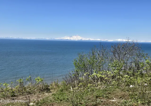 Homes for sale in Anchor Point, AK | L7 Danver, Anchor Point, AK 99556 | MLS# 26-1744