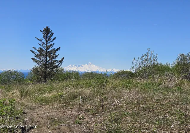 Homes for sale in Anchor Point, AK | L7 Danver, Anchor Point, AK 99556 | MLS# 26-1744