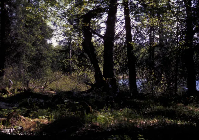 Photo 4 of Land for sale at B002 E Big Mountain Dr, Remote, AK 99676 | MLS# 26-2193 | Listing updated on 2026-03-14