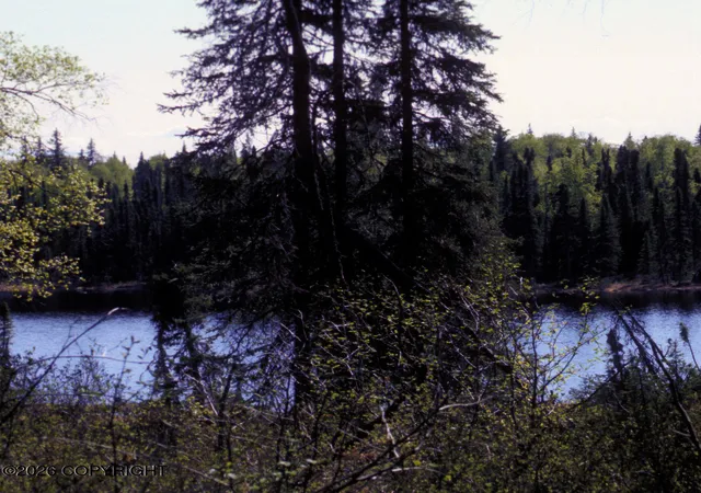 Photo 5 of Land for sale at B002 E Big Mountain Dr, Remote, AK 99676 | MLS# 26-2193 | Listing updated on 2026-03-14