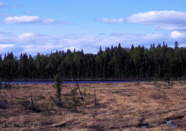 Photo 8 of Land for sale at B002 E Big Mountain Dr, Remote, AK 99676 | MLS# 26-2193 | Listing updated on 2026-03-14