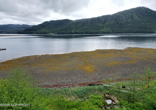 Homes for sale in Craig, AK | 47 Port Saint Nicholas Rd, Craig, AK 99921 | MLS# 26-1967