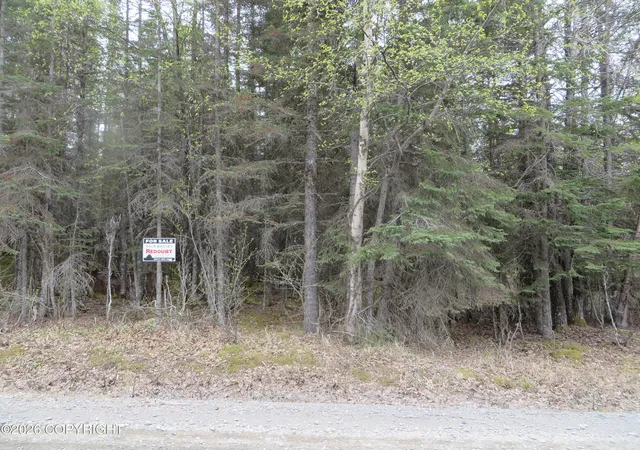 Homes for sale in Kasilof, AK | L1 Tolum Rd, Kasilof, AK 99610 | MLS# 26-1935