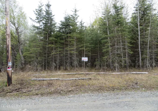 Homes for sale in Kasilof, AK | L6 Tolum Rd, Kasilof, AK 99610 | MLS# 26-1936