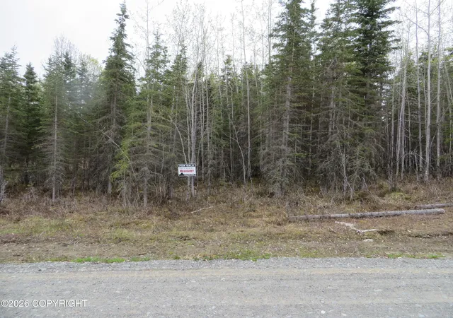 Homes for sale in Kasilof, AK | L7 Tolum Rd, Kasilof, AK 99610 | MLS# 26-1937