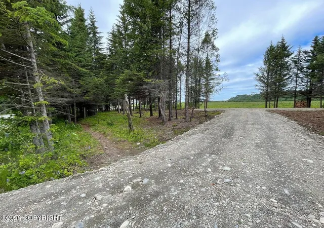 Homes for sale in Anchor Point, AK | 000 Anchor Point (beach) Rd, Anchor Point, AK 99556 | MLS# 26-1975