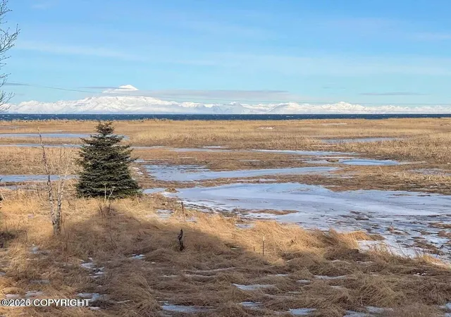 Homes for sale in Anchor Point, AK | 000 Anchor Point (beach) Rd, Anchor Point, AK 99556 | MLS# 26-1975