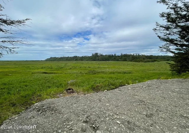 Homes for sale in Anchor Point, AK | 000 Anchor Point (beach) Rd, Anchor Point, AK 99556 | MLS# 26-1975