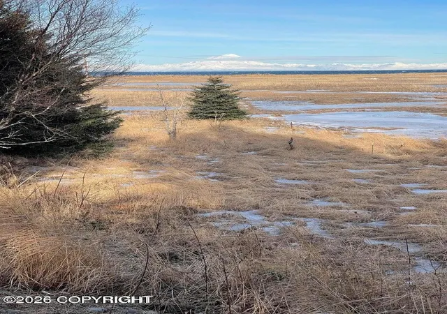 Homes for sale in Anchor Point, AK | 000 Anchor Point (Beach) Rd, Anchor Point, AK 99556 | MLS# 26-1975