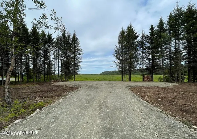Homes for sale in Anchor Point, AK | 000 Anchor Point (Beach) Rd, Anchor Point, AK 99556 | MLS# 26-1975