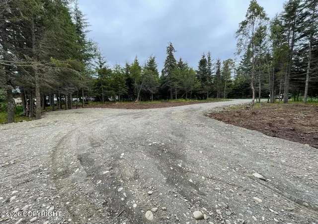 Homes for sale in Anchor Point, AK | 000 Anchor Point (Beach) Rd, Anchor Point, AK 99556 | MLS# 26-1975