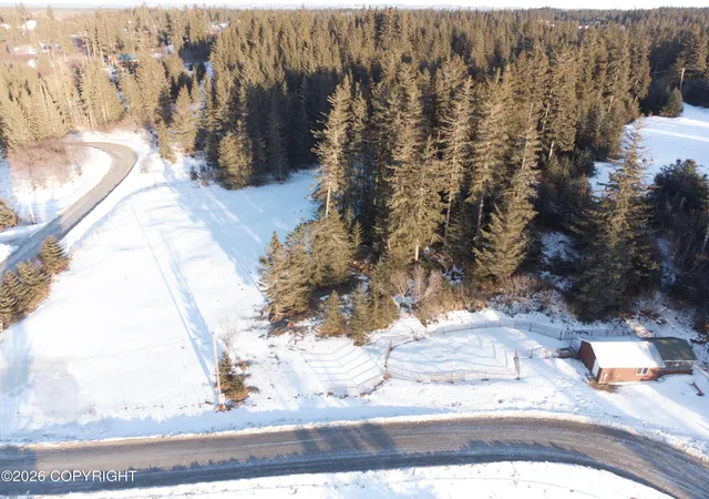 Homes for sale in Anchor Point, AK | 74143 Seaward Ave, Anchor Point, AK 99556 | MLS# 26-3054