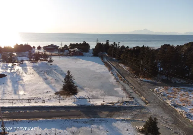 Homes for sale in Anchor Point, AK | 74143 Seaward Ave, Anchor Point, AK 99556 | MLS# 26-3054