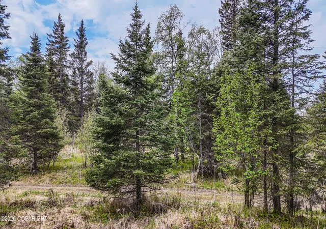 Photo 2 of Sale Pending at 66597 Bach Ave, Ninilchik, AK 99639 | MLS# 26-2148 | Listing updated on 2026-09-28