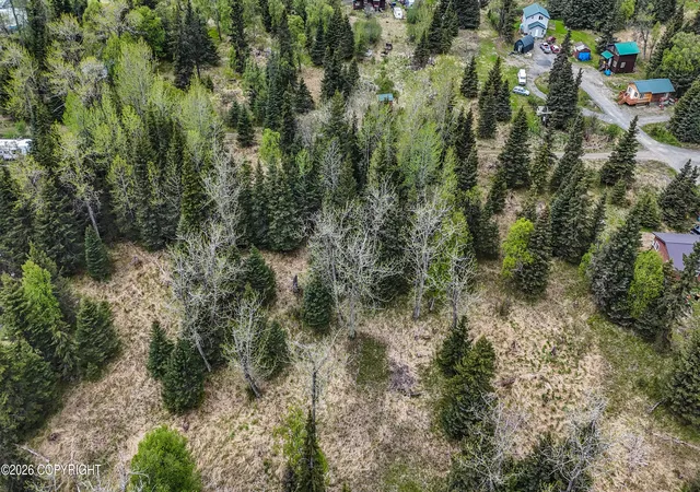 Photo 3 of Sale Pending at 66597 Bach Ave, Ninilchik, AK 99639 | MLS# 26-2148 | Listing updated on 2026-09-28