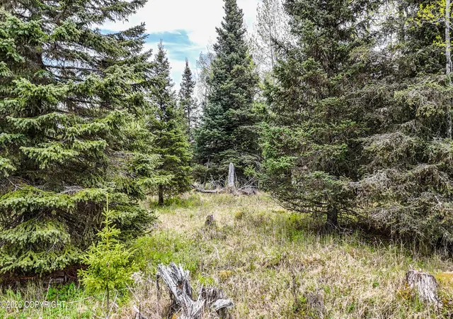 Photo 2 of Land for sale at 15898 Garroutte St, Ninilchik, AK 99639 | MLS# 26-2149 | Listing updated on 2026-09-12