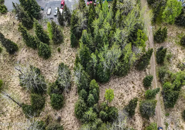 Photo 3 of Land for sale at 15898 Garroutte St, Ninilchik, AK 99639 | MLS# 26-2149 | Listing updated on 2026-09-12
