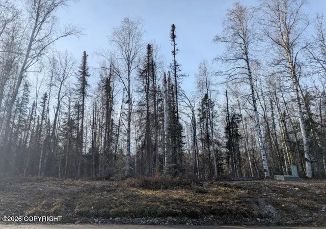 3rd image of 51030 S Caswell Creek Dr, Willow, AK 99688 | MLS# 26-2262
