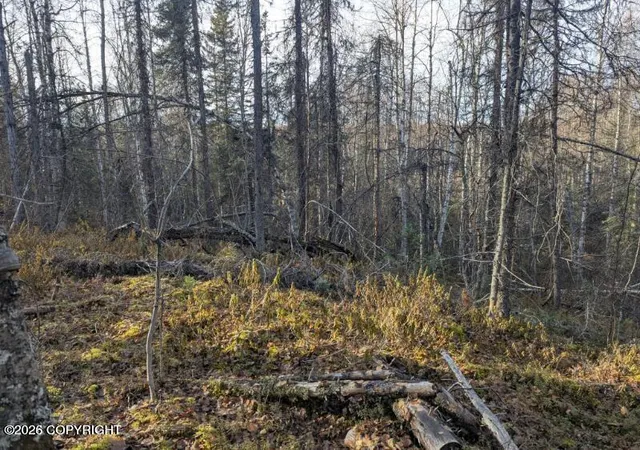 4th image of 51030 S Caswell Creek Dr, Willow, AK 99688 | MLS# 26-2262