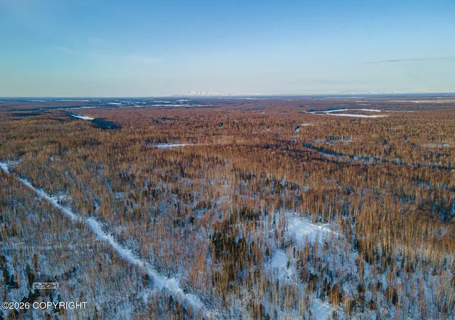 3rd image of Nhn E Ridge Ln, Willow, AK 99688 | MLS# 26-3493