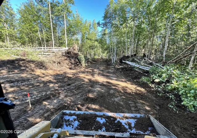 46th image of Nhn E Ridge Ln, Willow, AK 99688 | MLS# 26-3493