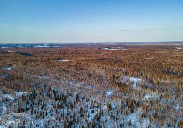 4th image of Nhn E Ridge Ln, Willow, AK 99688 | MLS# 26-3493