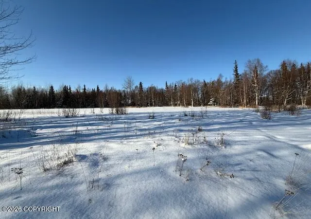 4th image of 15270 E Peacefull Ln, Palmer, AK 99645 | MLS# 26-2286
