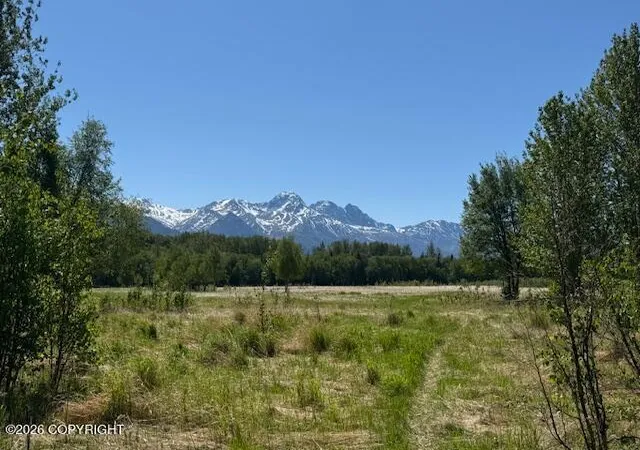 1st image of 15270 E Peacefull Ln, Palmer, AK 99645 | MLS# 26-2286