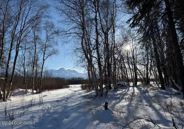 11th image of 15270 E Peacefull Ln, Palmer, AK 99645 | MLS# 26-2286