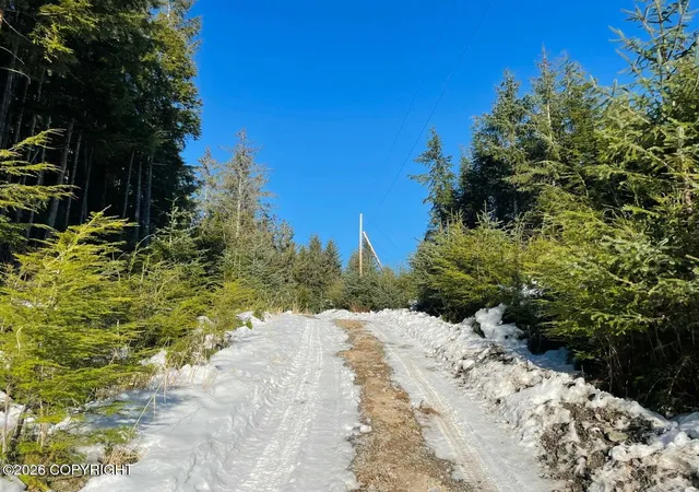 Photo 3 of Land for sale at L7 B13 Bayview Dr, Naukati Bay, AK 99950 | MLS# 26-2435 | Listing updated on 2026-06-05