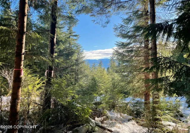 Photo 4 of Land for sale at L7 B13 Bayview Dr, Naukati Bay, AK 99950 | MLS# 26-2435 | Listing updated on 2026-06-05