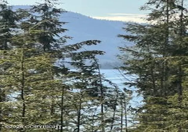 Photo 5 of Land for sale at L7 B13 Bayview Dr, Naukati Bay, AK 99950 | MLS# 26-2435 | Listing updated on 2026-06-05