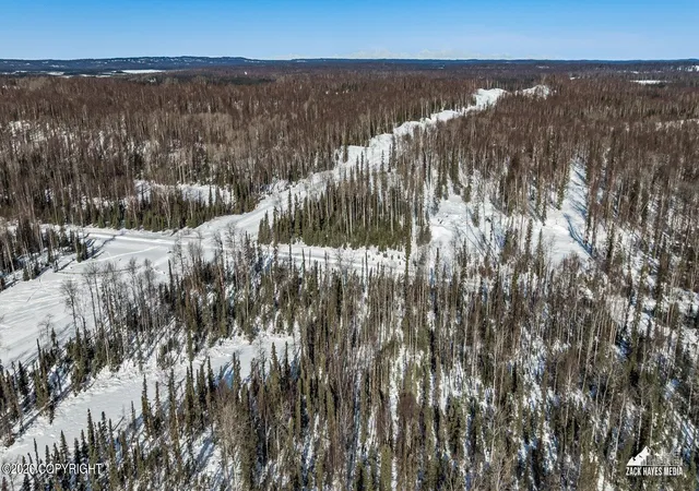 Photo 3 of Land for sale at 25275 W Susitna Pkwy, Big Lake, AK 99652 | MLS# 26-2843 | Listing updated on 2026-10-06