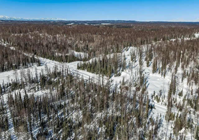 Photo 4 of Land for sale at 25275 W Susitna Pkwy, Big Lake, AK 99652 | MLS# 26-2843 | Listing updated on 2026-10-06