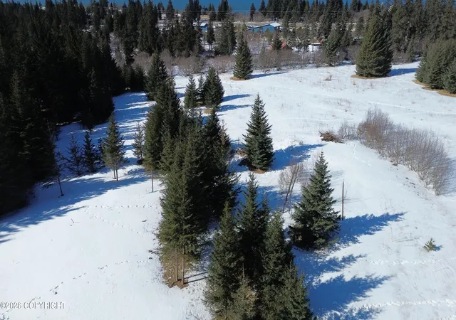 Homes for sale in Anchor Point, AK | 32185 Pacific Park St, Anchor Point, AK 99556 | MLS# 26-3583