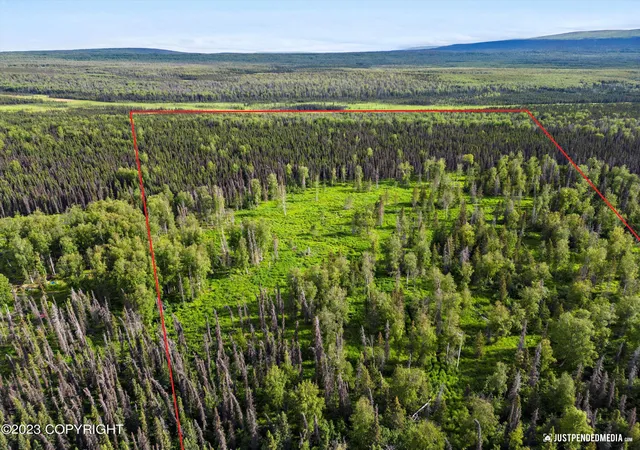 Photo 25 of Land for sale at D001 W Armstrong Rd, Houston, AK 99623 | MLS# 26-2754 | Listing updated on 2026-03-25
