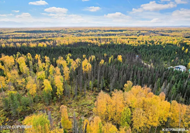 Photo 3 of Land for sale at D001 W Armstrong Rd, Houston, AK 99623 | MLS# 26-2754 | Listing updated on 2026-03-25