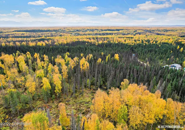 Photo 4 of Land for sale at D001 W Armstrong Rd, Houston, AK 99623 | MLS# 26-2754 | Listing updated on 2026-03-25
