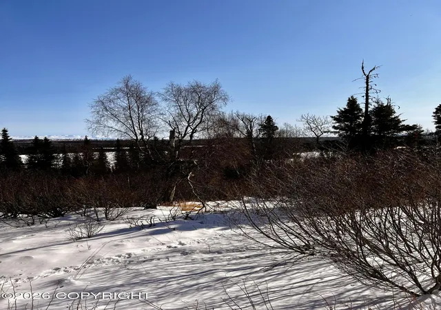 Homes for sale in Kasilof, AK | 51136 Caughlin Ave, Kasilof, AK 99610 | MLS# 26-3097