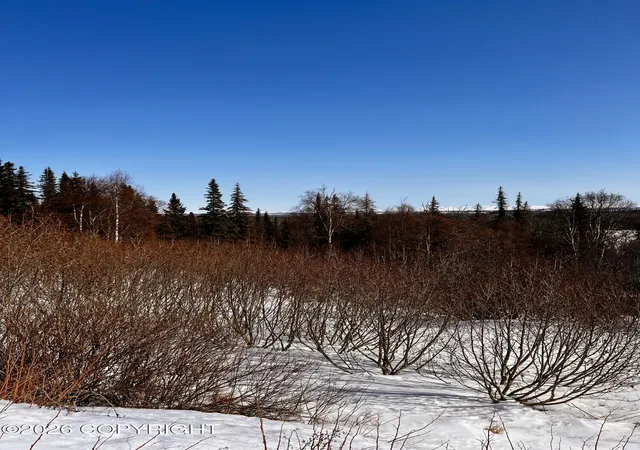Homes for sale in Kasilof, AK | 51136 Caughlin Ave, Kasilof, AK 99610 | MLS# 26-3097