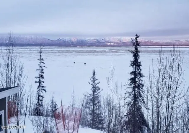104th image of 6860 W Leckwold Dr, Wasilla, AK 99623 | MLS# 26-3719