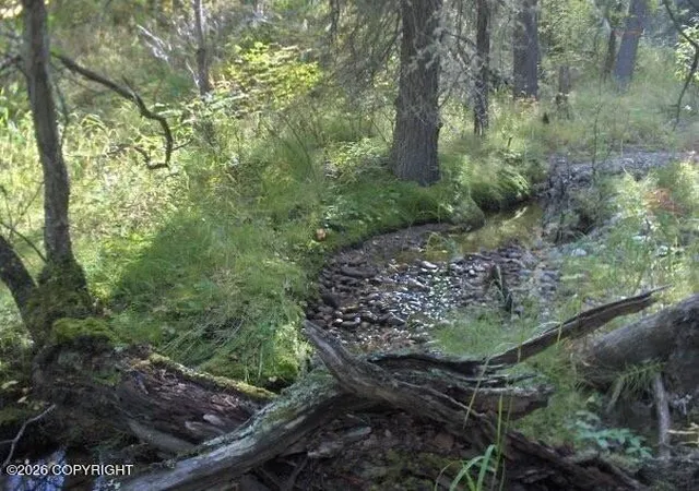 Photo 1 of Land for sale at 2003 16 E No Rd Ridge Rock Cabin Sites #NO, Healy, AK 99743 | MLS# 26-3298 | Listing updated on 2026-08-20