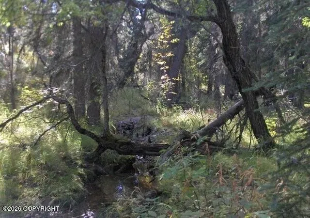 Photo 2 of Land for sale at 2003 16 E No Rd Ridge Rock Cabin Sites #NO, Healy, AK 99743 | MLS# 26-3298 | Listing updated on 2026-08-20
