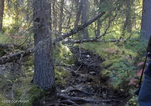 Photo 3 of Land for sale at 2003-16 E No Rd Ridge Rock Cabin Sites #NO, Healy, AK 99743 | MLS# 26-3298 | Listing updated on 2026-08-20
