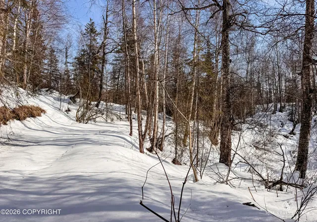 Photo 20 of Land for sale at L8 B2 Parks Ests, Big Lake, AK 99652 | MLS# 26-3605 | Listing updated on 2026-05-04