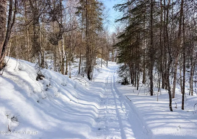 Photo 3 of Land for sale at L8 B2 Parks Ests, Big Lake, AK 99652 | MLS# 26-3605 | Listing updated on 2026-05-04
